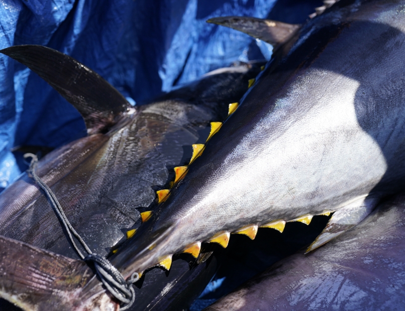 un ULTIMO TOCCO prima di arrivare in tavola