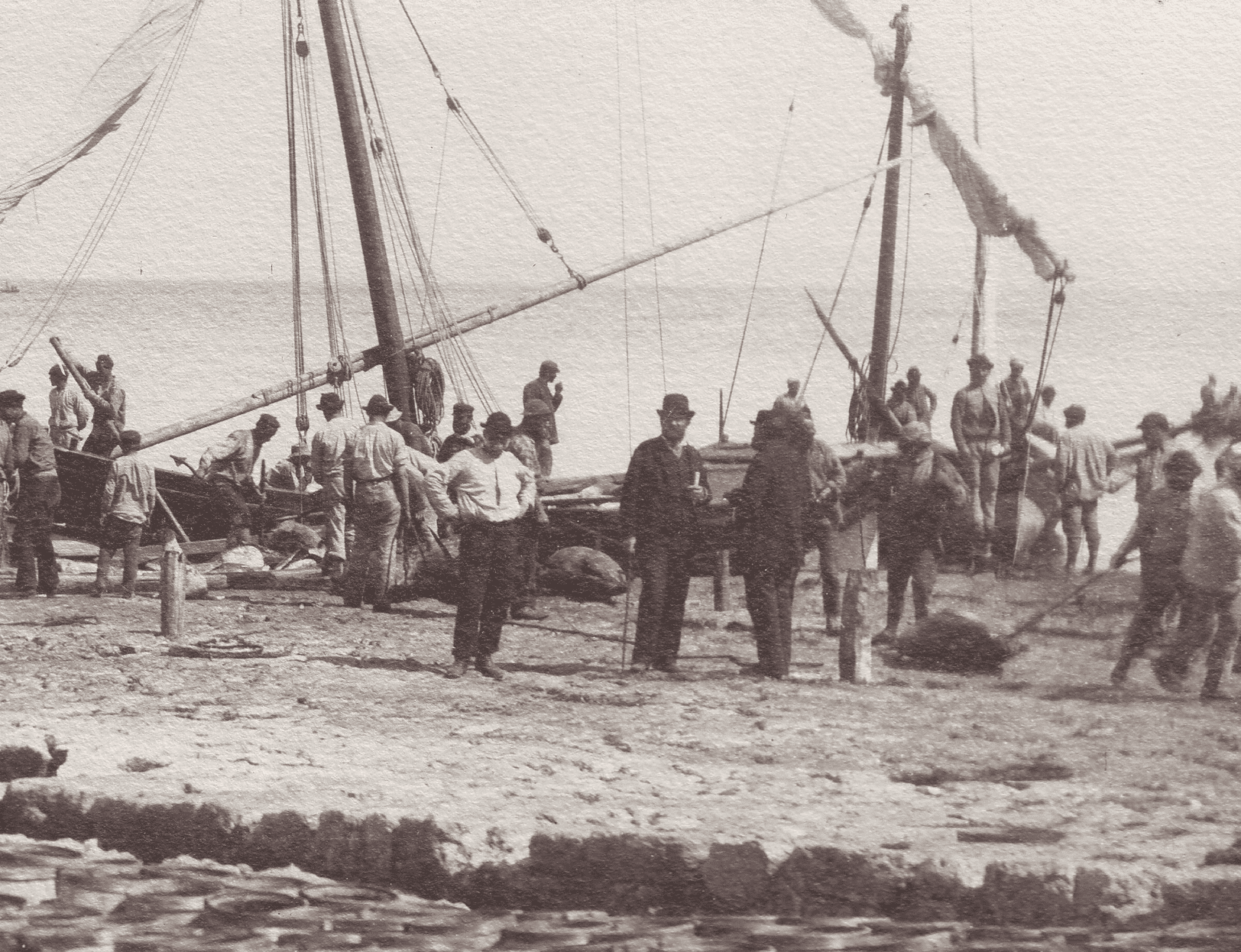 LA FILIERA È, PRIMA DI TUTTO, IL FRUTTO DI UNA LUNGA ESPERIENZA: QUELLA DELLA NOSTRA FAMIGLIA