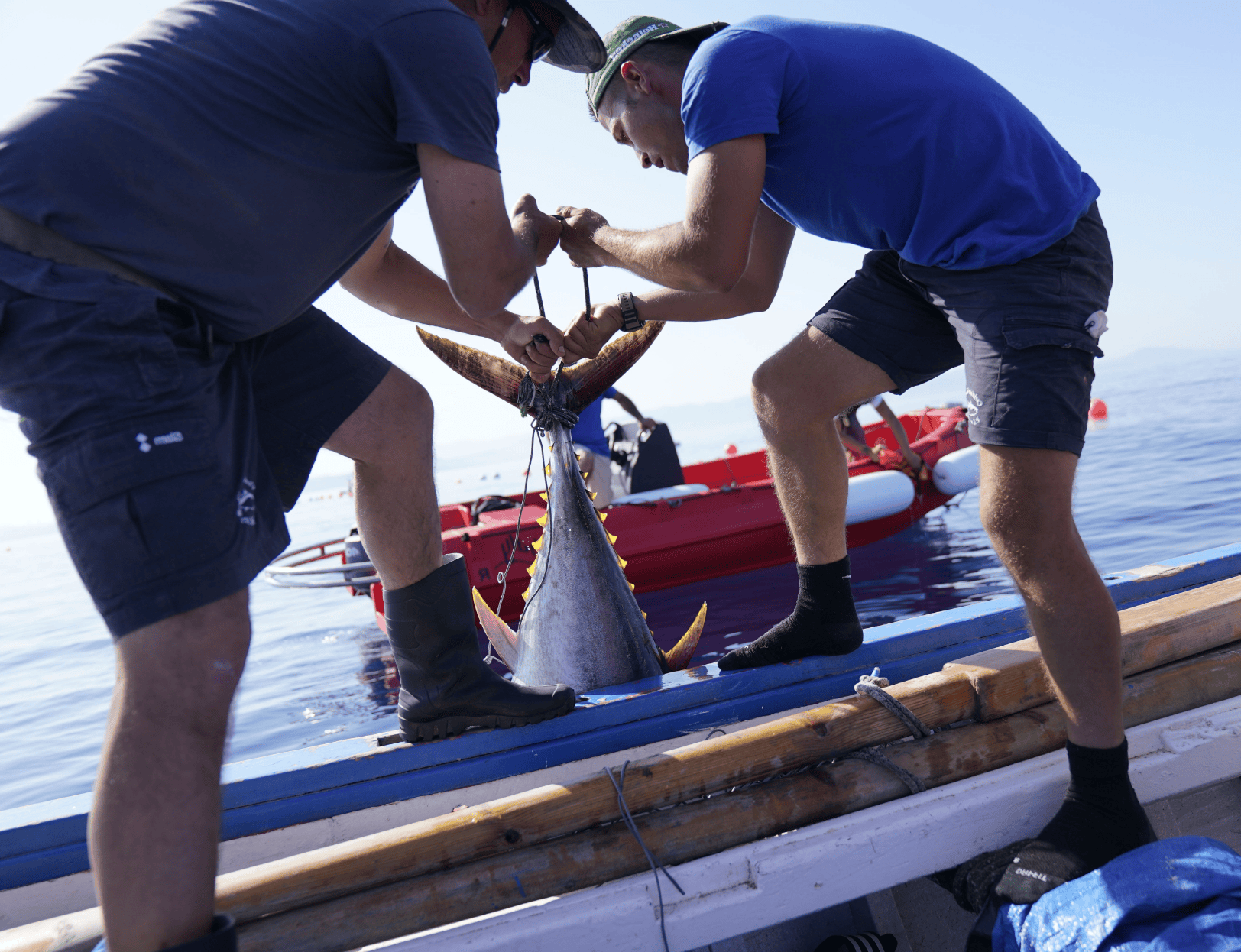 L’I.G.P. ATTESTA I NOSTRI PROCEDIMENTI PER OTTENERE UN PRODOTTO DI QUALITÀ