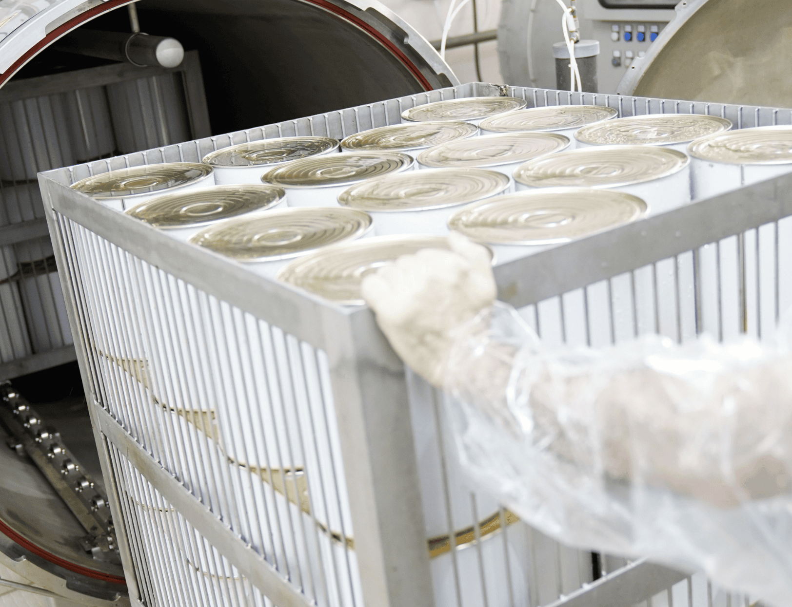 Gli unici in Italia a cuocere il tonno ancora fresco